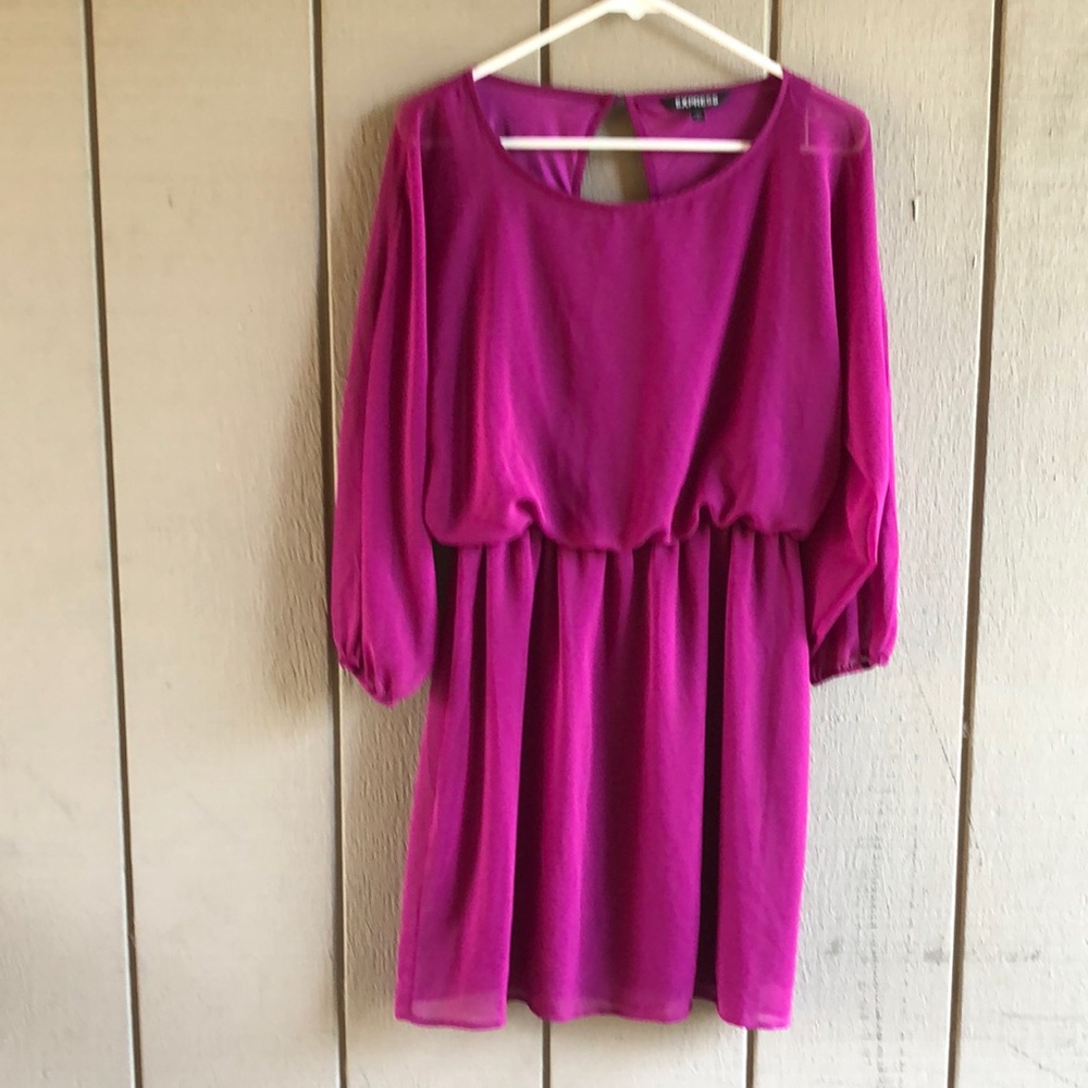 Express Sheer Lace Dress